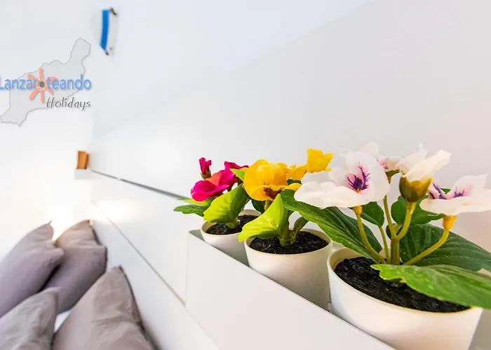 Casita Del Viento Appartamento